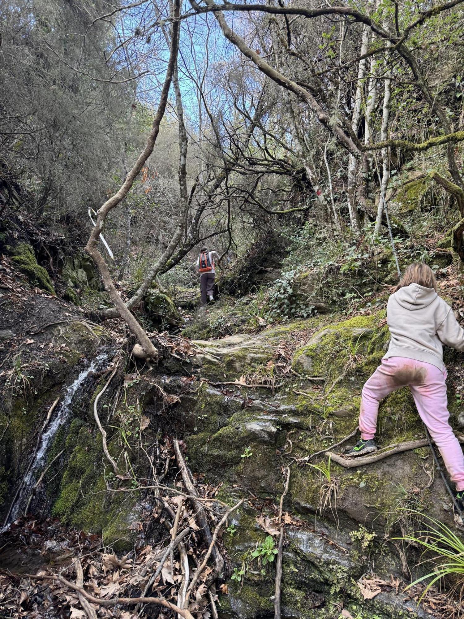 Foresta In Medias Mores Trablus Dış mekan fotoğraf