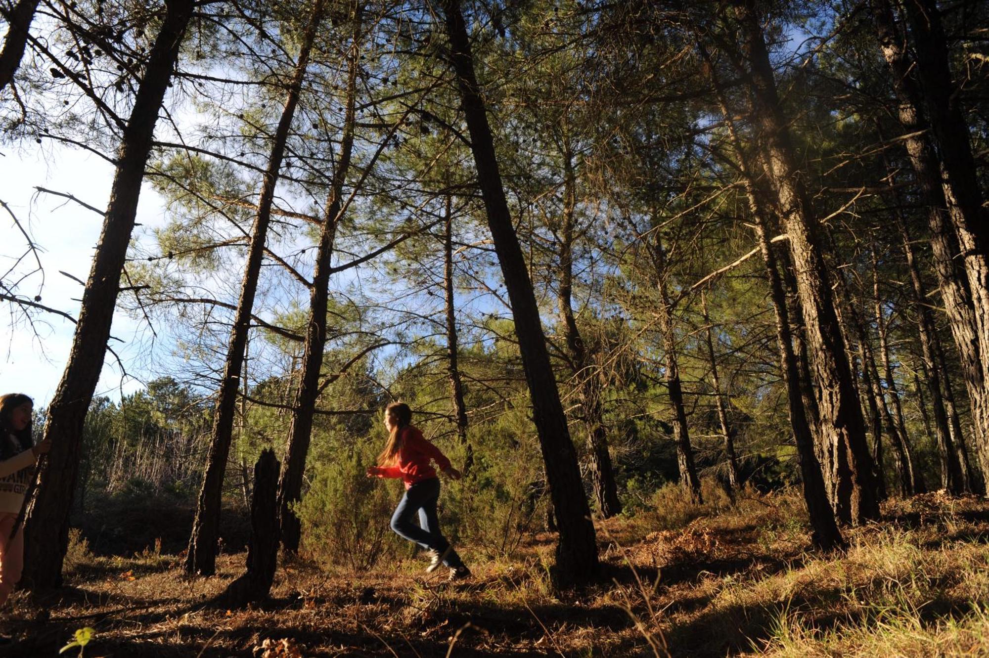 Foresta In Medias Mores Trablus Dış mekan fotoğraf
