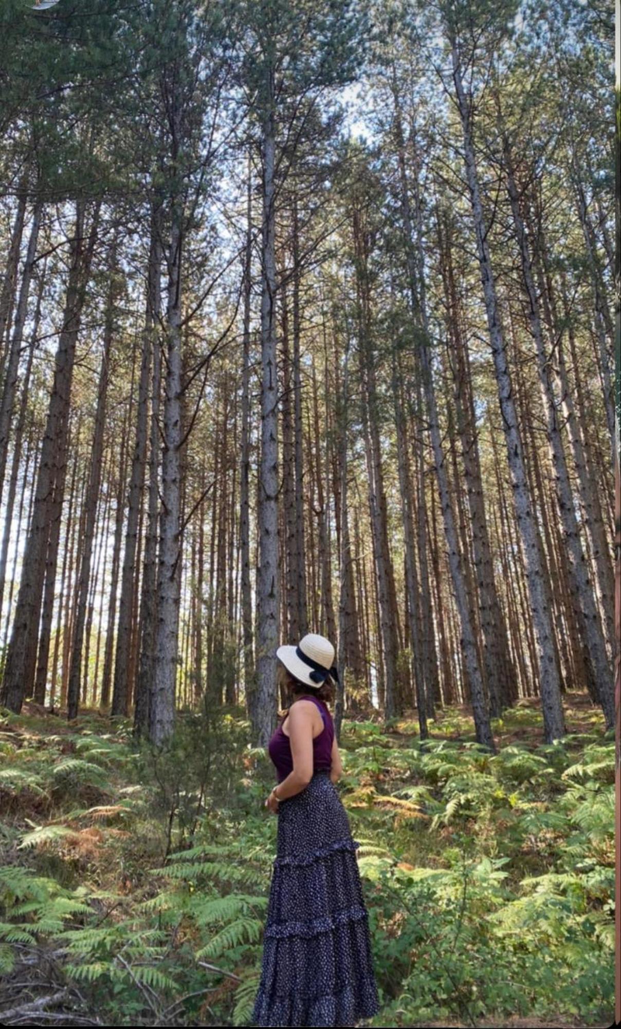 Foresta In Medias Mores Trablus Dış mekan fotoğraf