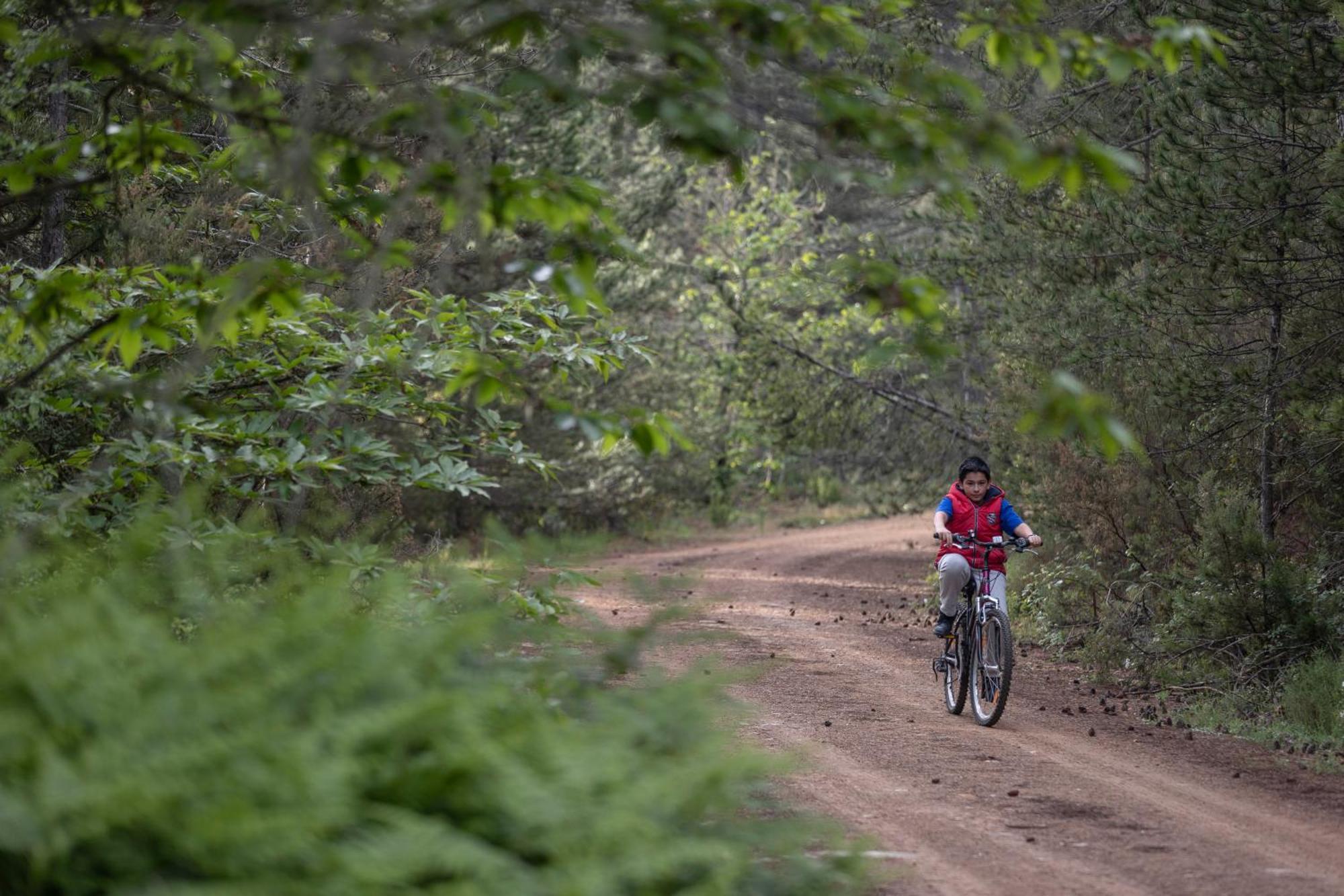 Foresta In Medias Mores Trablus Dış mekan fotoğraf