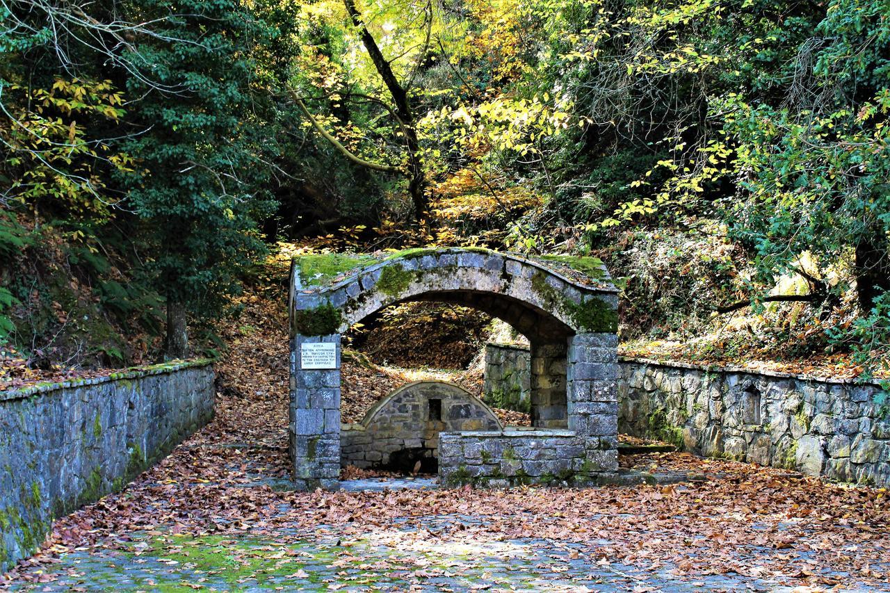 Foresta In Medias Mores Trablus Dış mekan fotoğraf